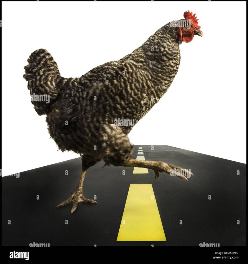 Descubre el misterio detrás del juego de azar Chicken Road en España - overview